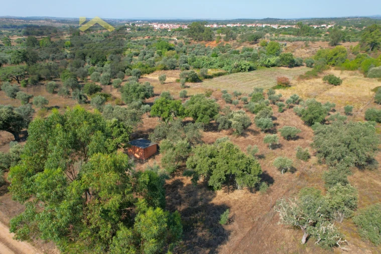 Terreno Agricola ou Rústico para Venda em Toulões Foto 2