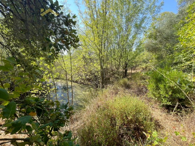 Terreno Agricola ou Rústico para Venda em Toulões Foto 11