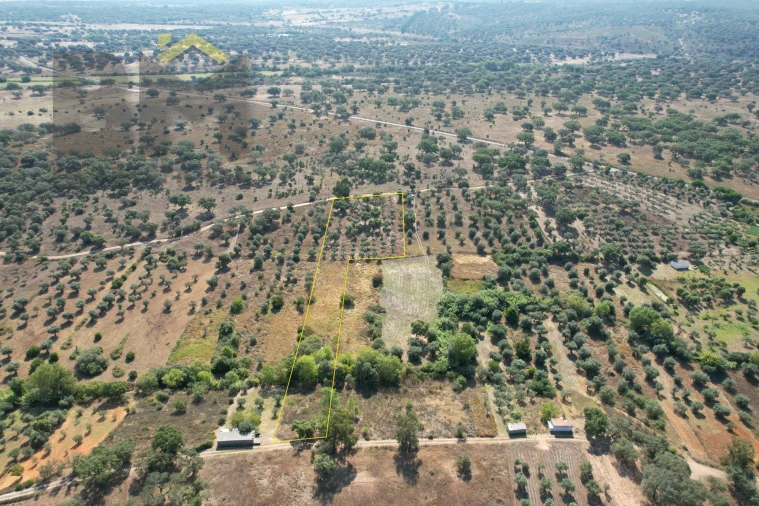 Terreno Agricola ou Rústico para Venda em Toulões Foto 18