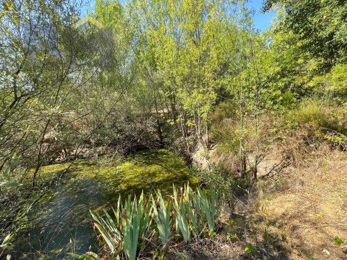 Terreno Agricola ou Rústico para Venda em Toulões Foto 13