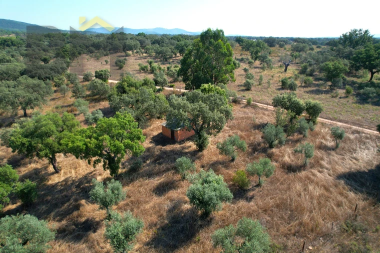 Terreno Agricola ou Rústico para Venda em Toulões Foto 3