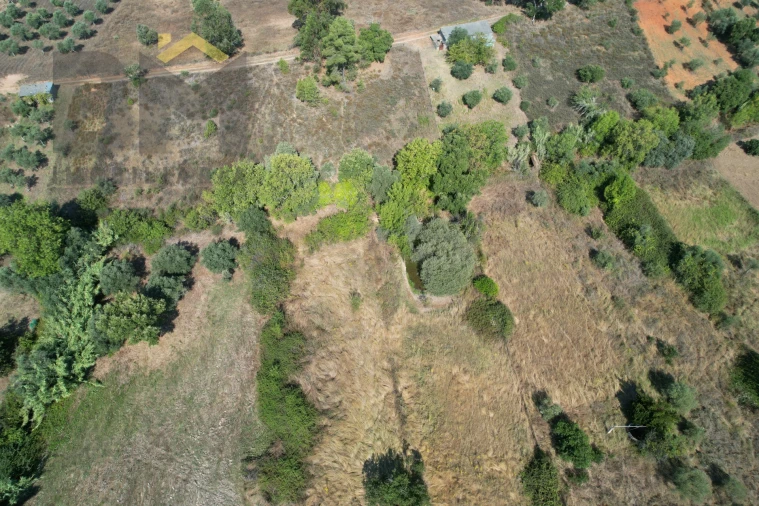 Terreno Agricola ou Rústico para Venda em Toulões Foto 10