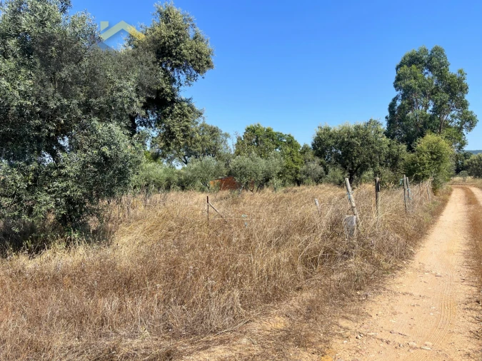 Terreno Agricola ou Rústico para Venda em Toulões Foto 16