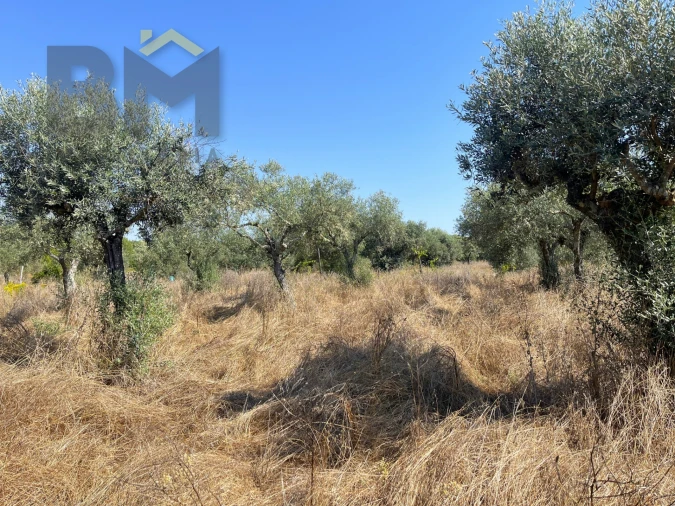 Terreno Agricola ou Rústico para Venda em Toulões Foto 6