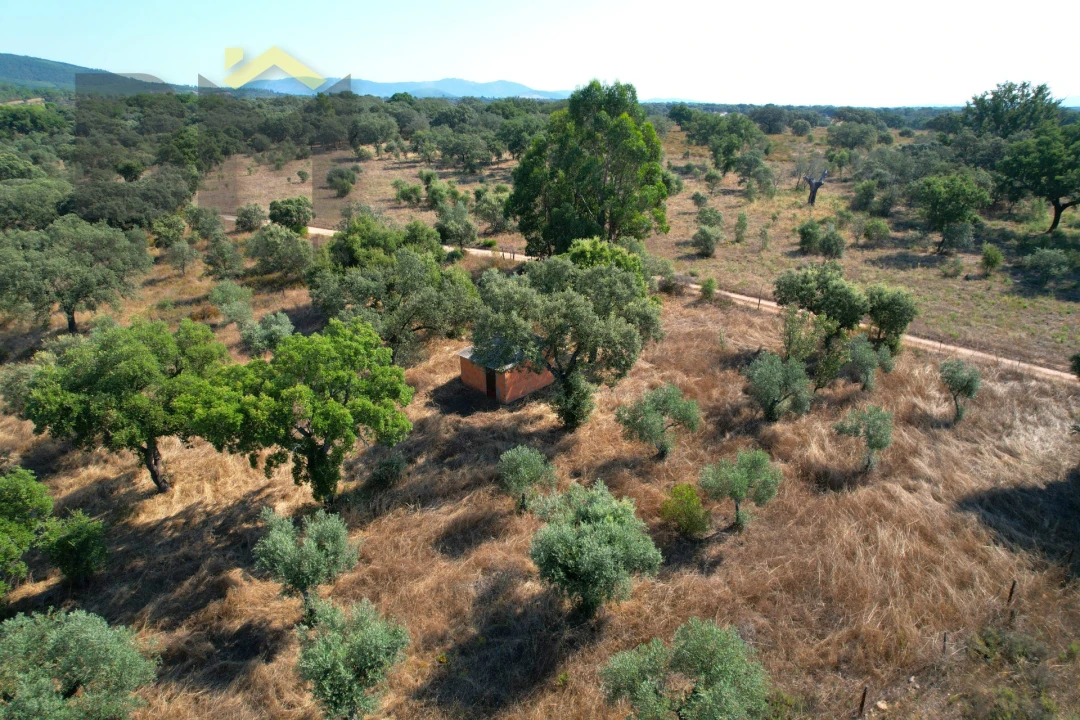 Terreno Agricola ou Rústico para Venda em Toulões Foto 3