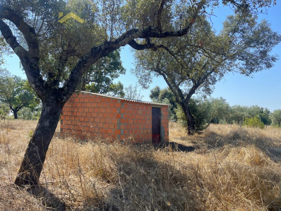 Terreno Agricola ou Rústico para Venda em Toulões Foto 5