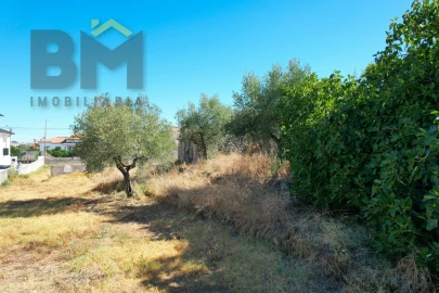 Terreno para Venda em Alcains