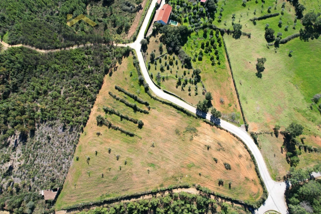 Terreno Agricola ou Rústico para Venda em Ninho do Açor e Sobral do Campo Foto 4