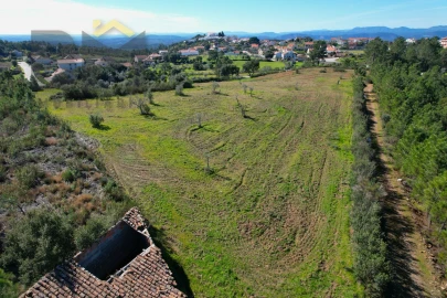 Terreno Agricola ou Rústico para Venda em Ninho do Açor e Sobral do Campo