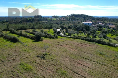 Terreno Agricola ou Rústico para Venda em Ninho do Açor e Sobral do Campo