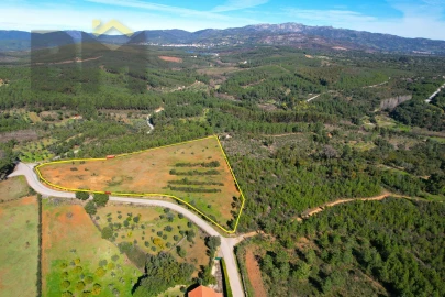 Terreno Agricola ou Rústico para Venda em Ninho do Açor e Sobral do Campo