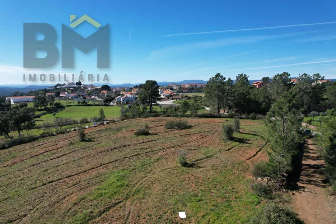 Terreno Agricola ou Rústico para Venda em Ninho do Açor e Sobral do Campo Foto 6