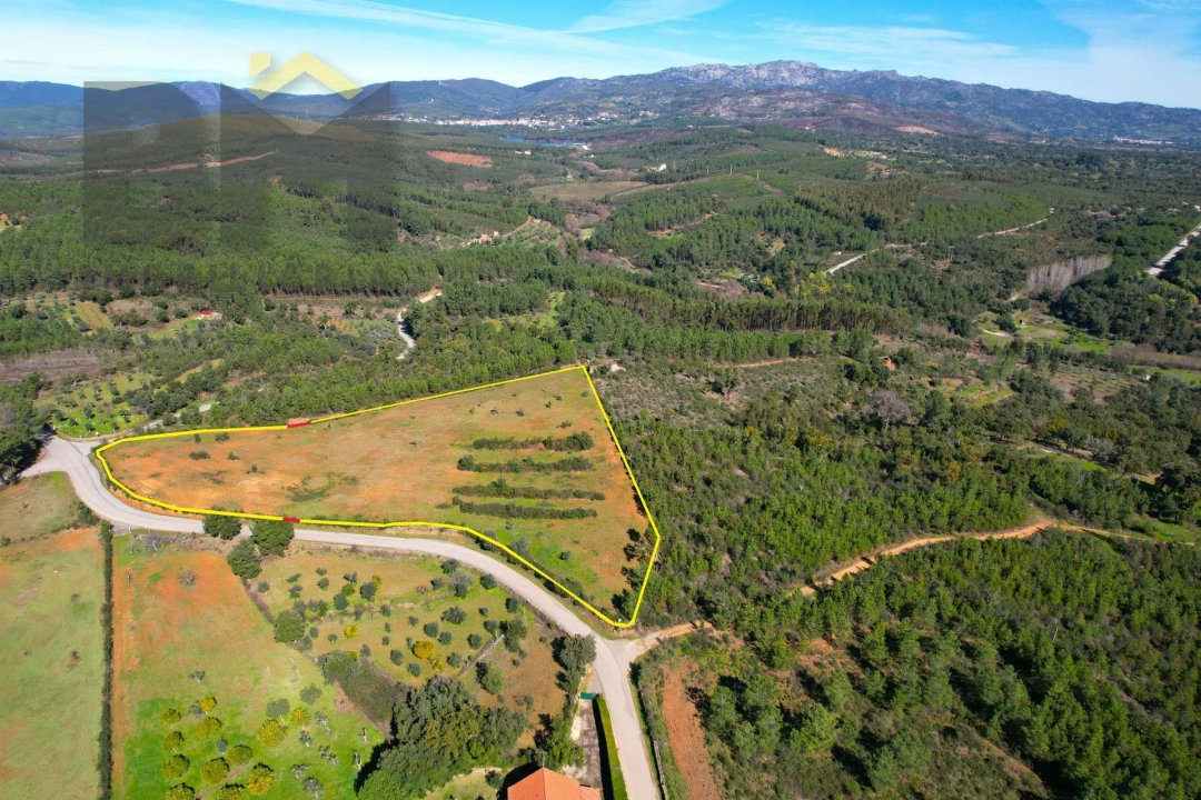 Terreno Agricola ou Rústico para Venda em Ninho do Açor e Sobral do Campo Foto 1