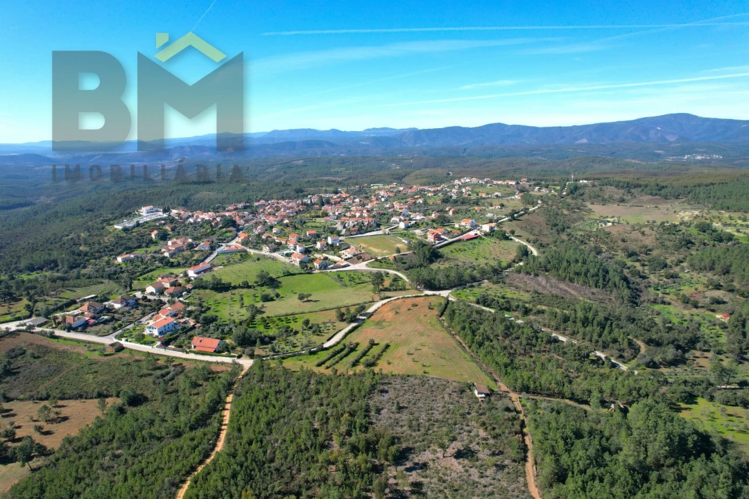 Terreno Agricola ou Rústico para Venda em Ninho do Açor e Sobral do Campo Foto 3