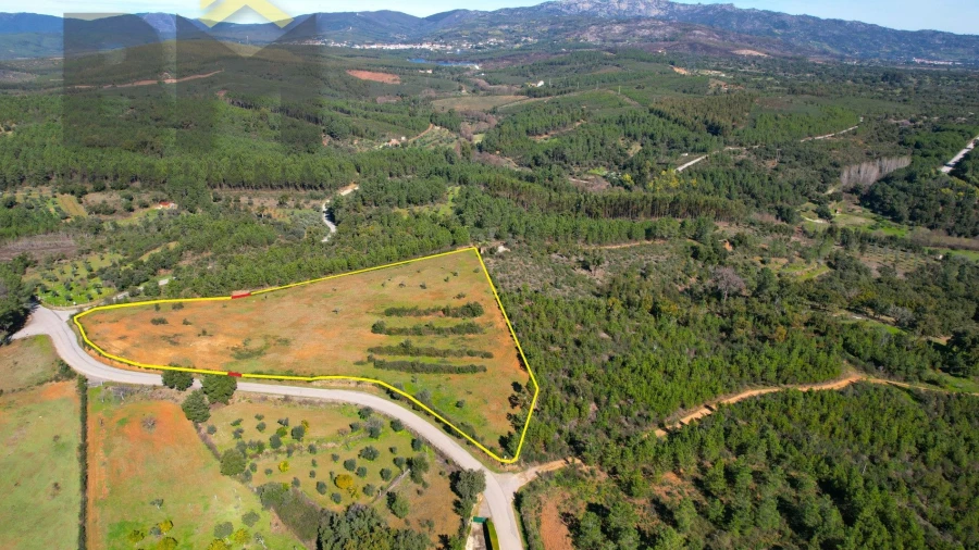 Terreno Agricola ou Rústico para Venda em Ninho do Açor e Sobral do Campo