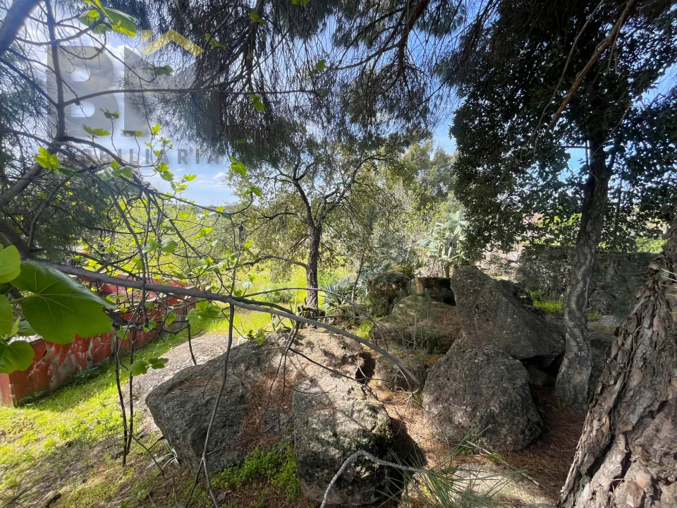 Terreno para Venda em Escalos de Baixo e Mata Foto 12