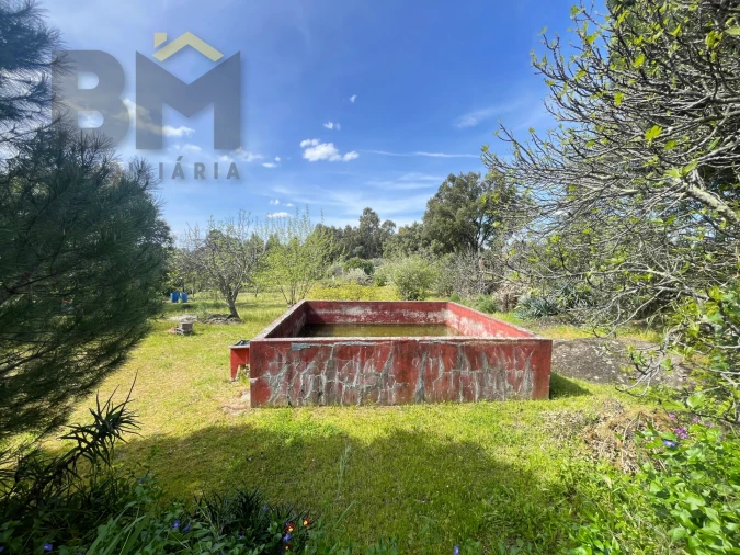 Terreno para Venda em Escalos de Baixo e Mata Foto 8