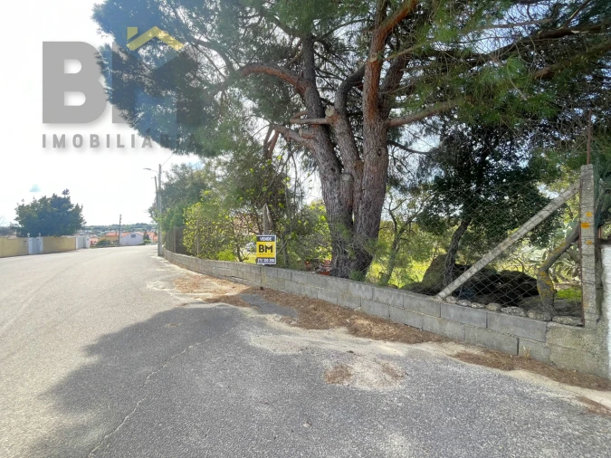 Terreno para Venda em Escalos de Baixo e Mata Foto 14