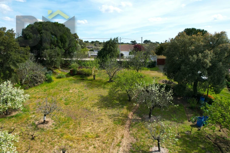 Terreno para Venda em Escalos de Baixo e Mata Foto 4