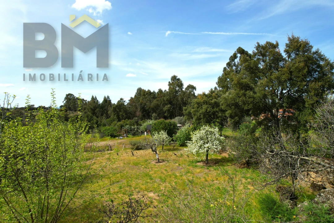 Terreno para Venda em Escalos de Baixo e Mata Foto 6