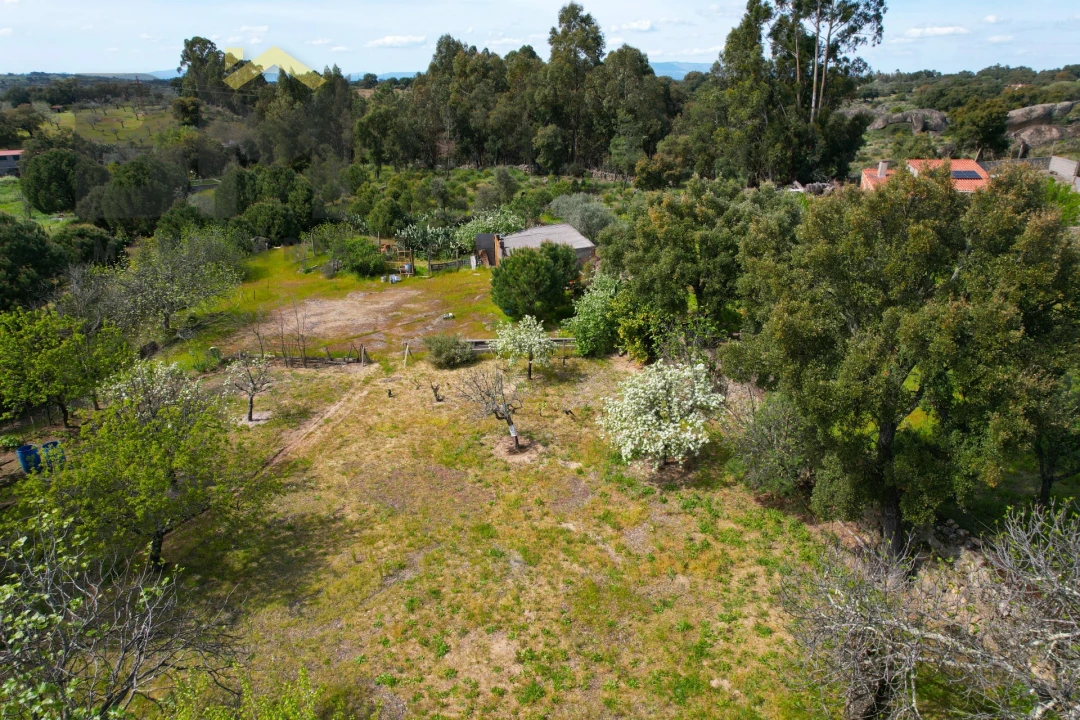 Terreno para Venda em Escalos de Baixo e Mata Foto 5