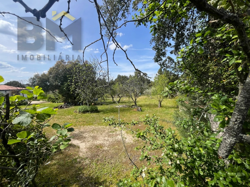 Terreno para Venda em Escalos de Baixo e Mata Foto 11