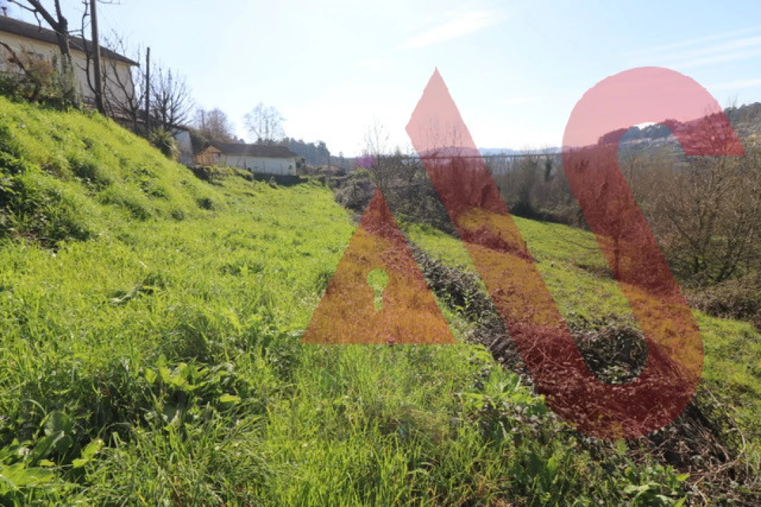 Terreno para Venda em Vila Fria e Vizela (São Jorge) Foto 7