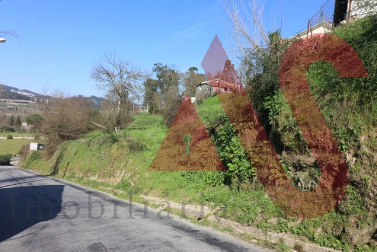 Terreno para Venda em Vila Fria e Vizela (São Jorge) Foto 8