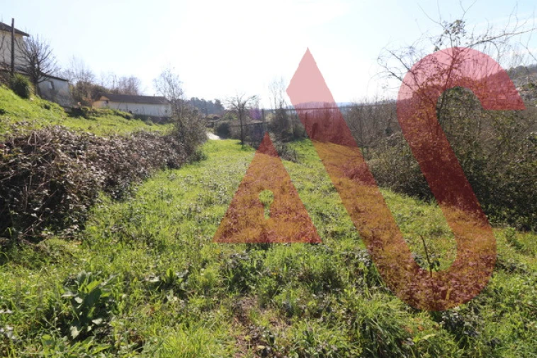 Terreno para Venda em Vila Fria e Vizela (São Jorge) Foto 5