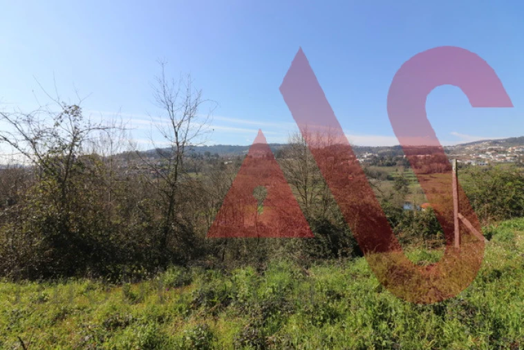 Terreno para Venda em Vila Fria e Vizela (São Jorge) Foto 6