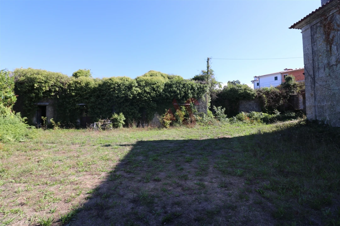 Quinta T10 para Venda em Raimonda Foto 50