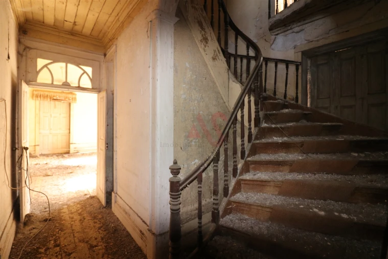 Quinta T10 para Venda em Raimonda Foto 31