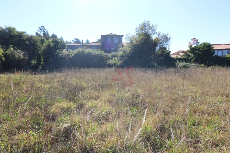 Quinta T10 para Venda em Raimonda Foto 56