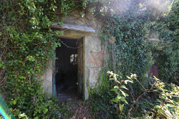 Quinta T10 para Venda em Raimonda Foto 52