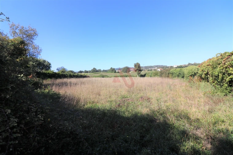 Quinta T10 para Venda em Raimonda Foto 21