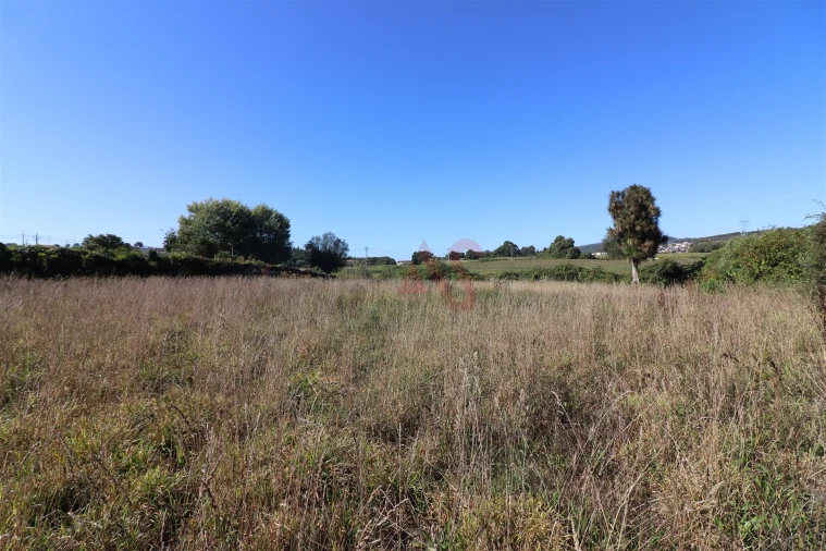 Quinta T10 para Venda em Raimonda Foto 55