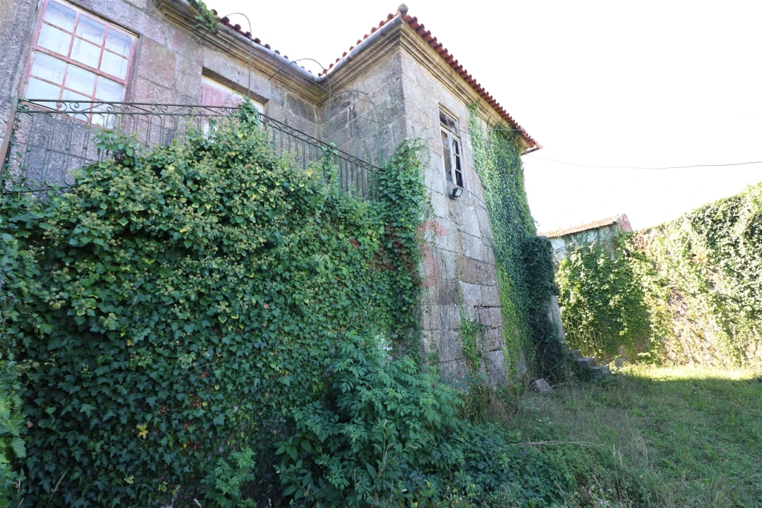 Quinta T10 para Venda em Raimonda Foto 45