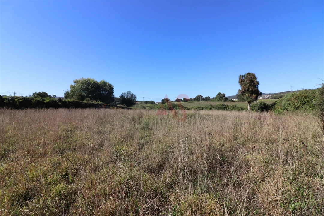 Quinta T10 para Venda em Raimonda Foto 55