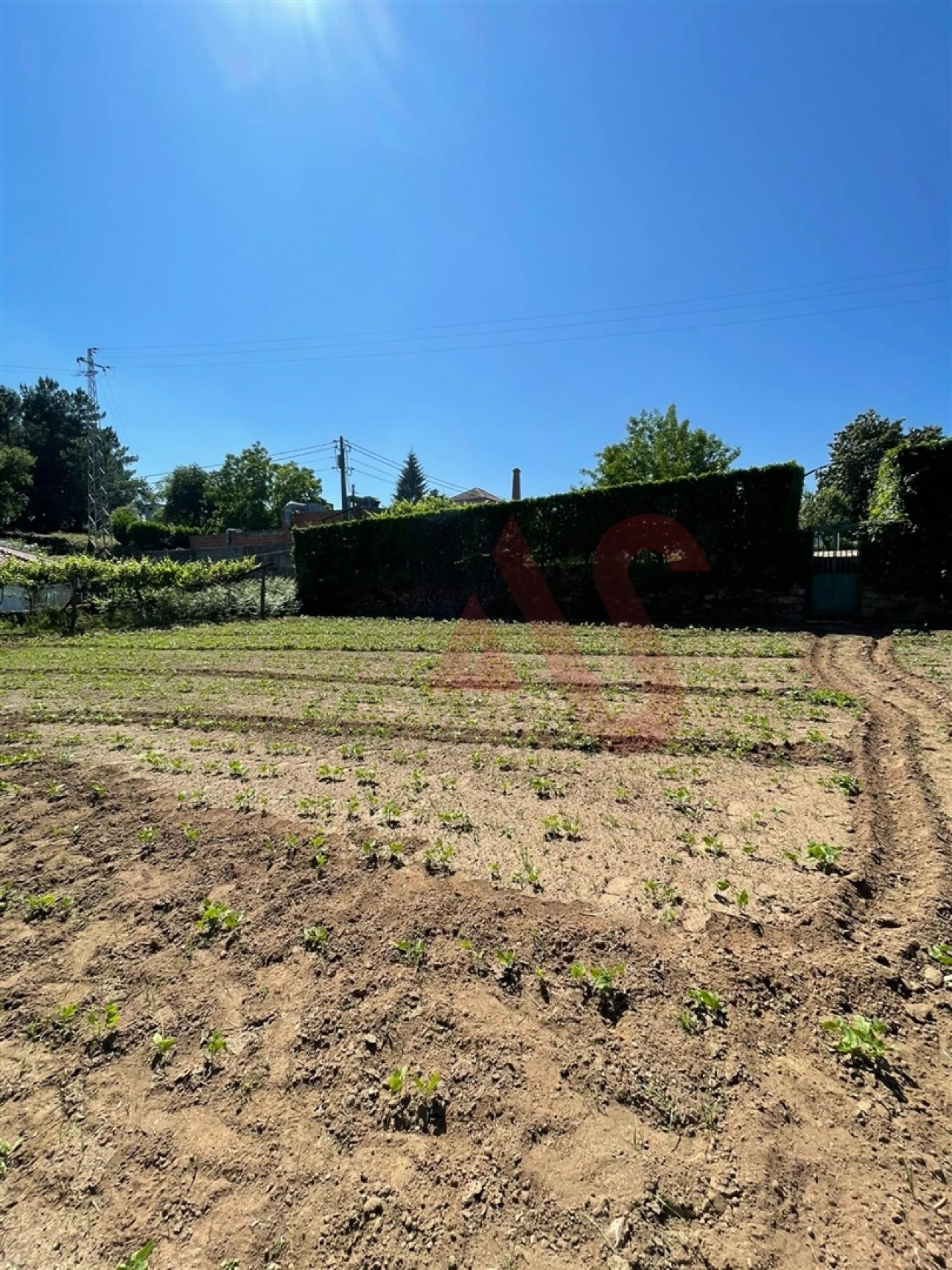 Terreno para Venda em Macieira da Lixa e Caramos Foto 3