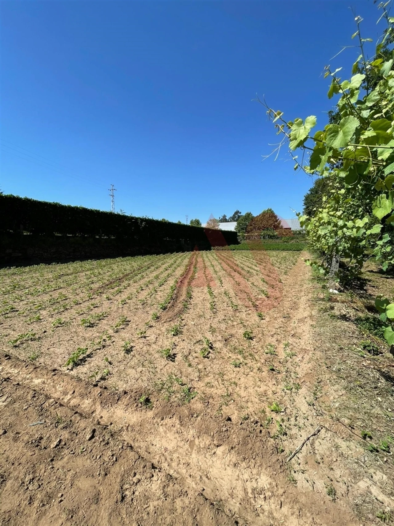 Terreno para Venda em Macieira da Lixa e Caramos Foto 4