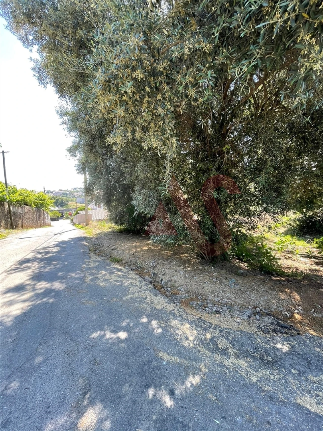 Terreno para Venda em Macieira da Lixa e Caramos Foto 11