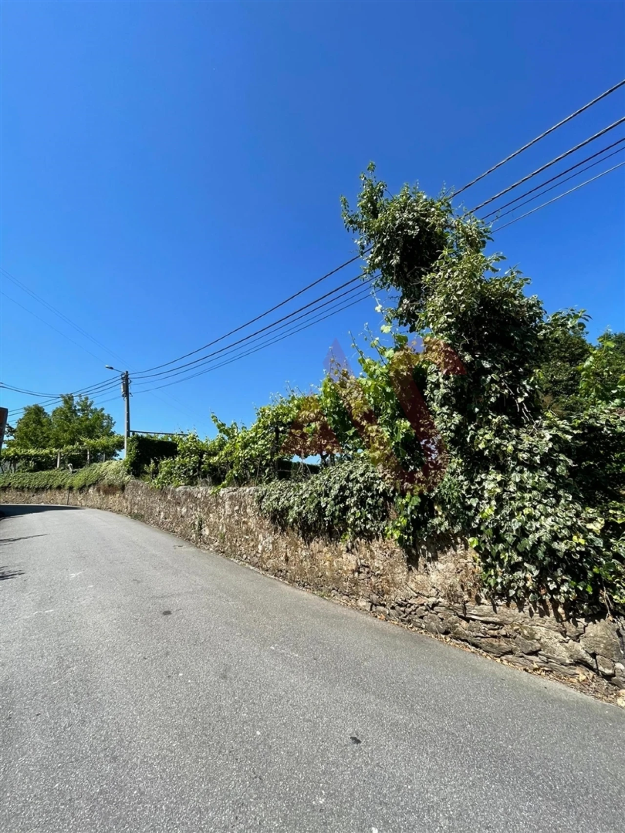 Terreno para Venda em Macieira da Lixa e Caramos Foto 13