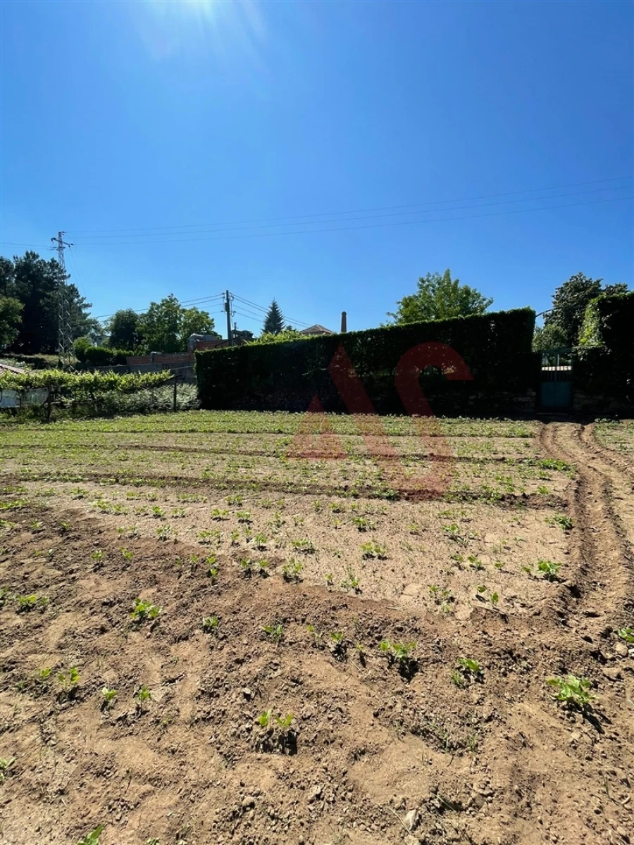 Terreno para Venda em Macieira da Lixa e Caramos Foto 3