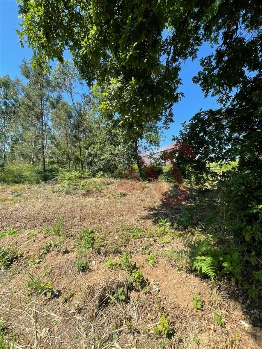 Terreno para Venda em Macieira da Lixa e Caramos Foto 7