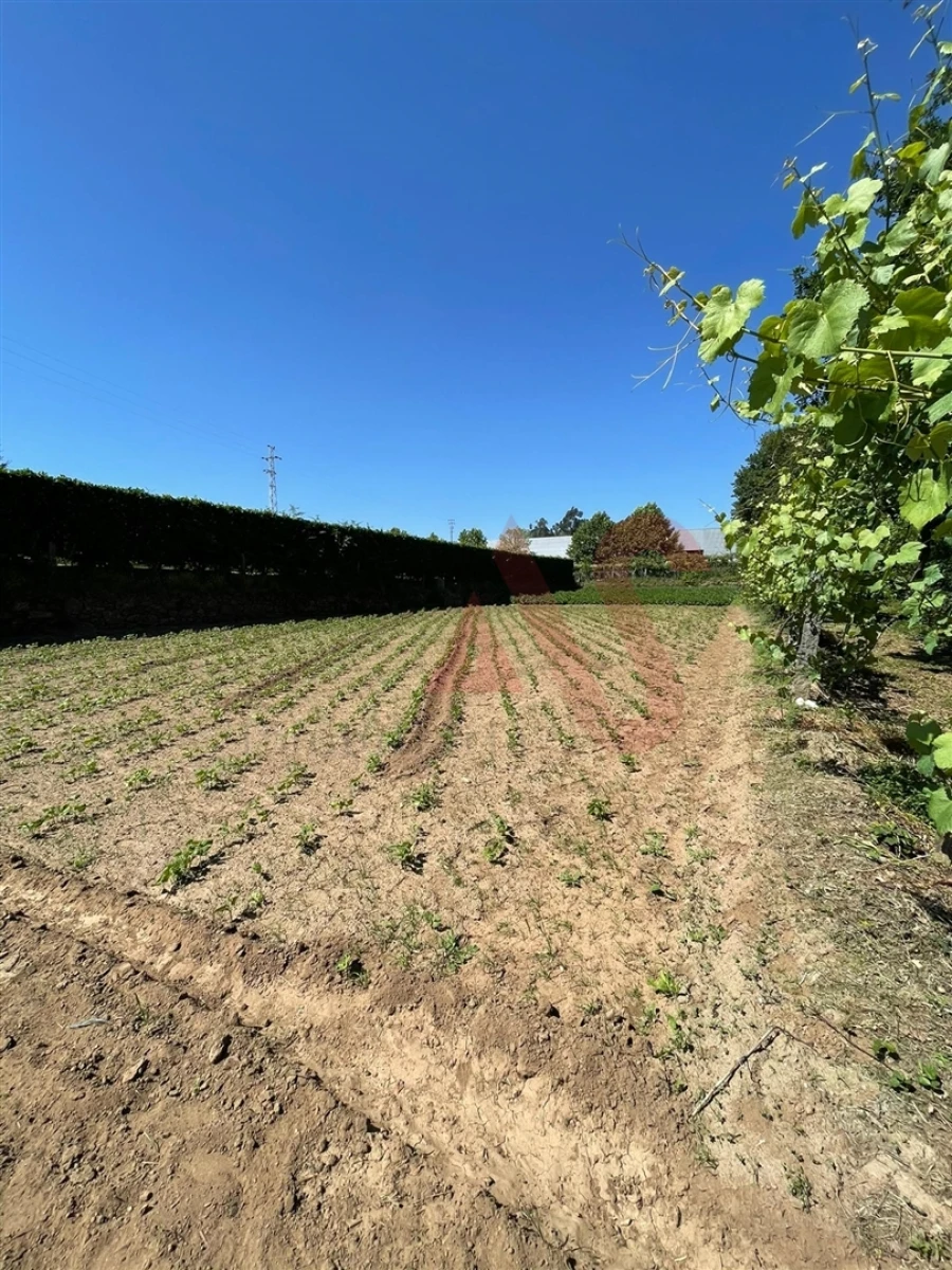 Terreno para Venda em Macieira da Lixa e Caramos Foto 4