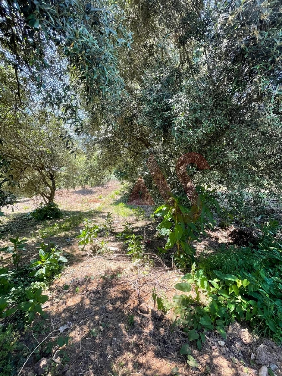 Terreno para Venda em Macieira da Lixa e Caramos Foto 10