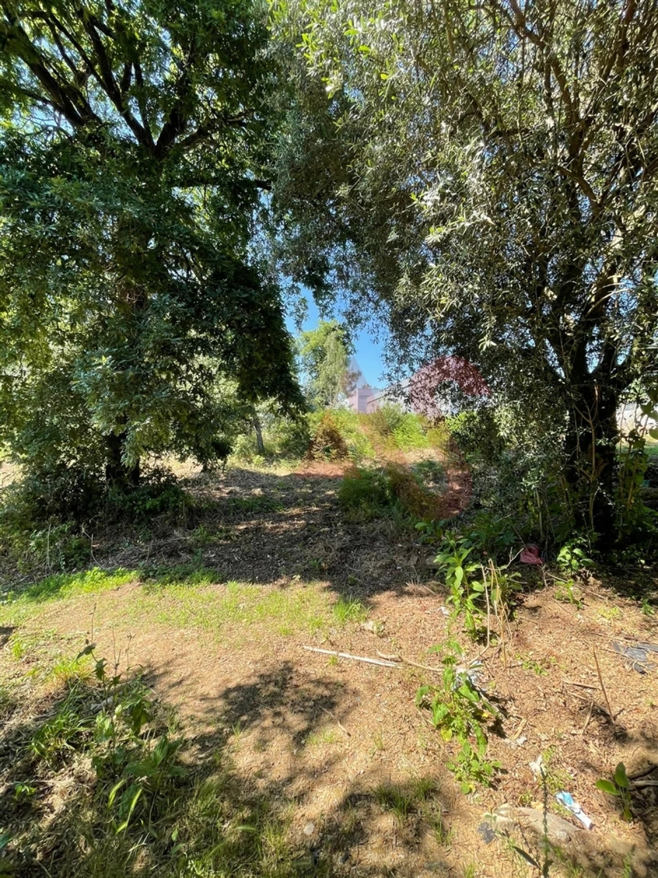 Terreno para Venda em Macieira da Lixa e Caramos Foto 6