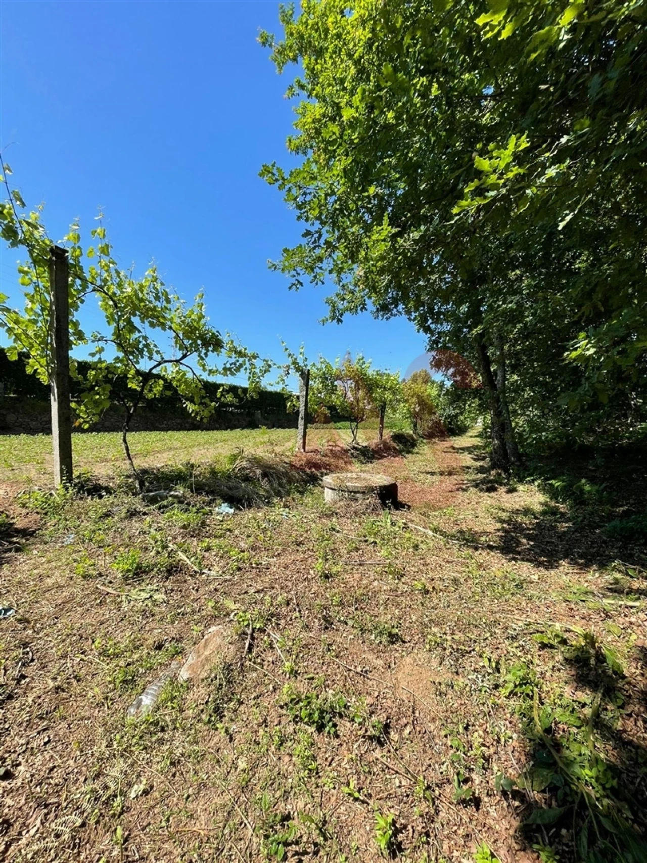 Terreno para Venda em Macieira da Lixa e Caramos Foto 5