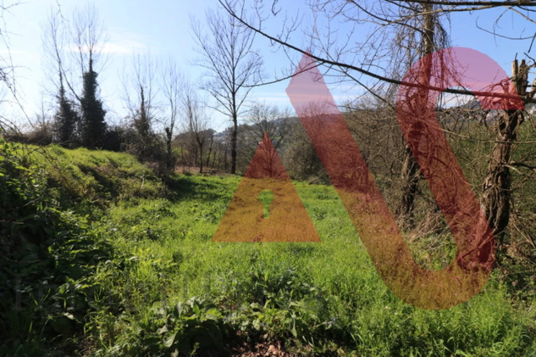 Moradia T1 para Venda em Vila Fria e Vizela (São Jorge) Foto 10