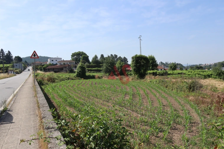Terreno para Venda em Cristelos, Boim e Ordem Foto 1